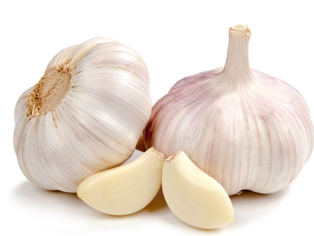 Garlic